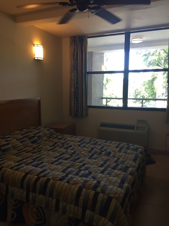 Imagen de la habitación del Hotel Palm Residence. Foto 6