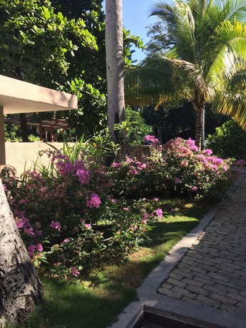 Imagen general del Hotel Palm Residence. Foto 5