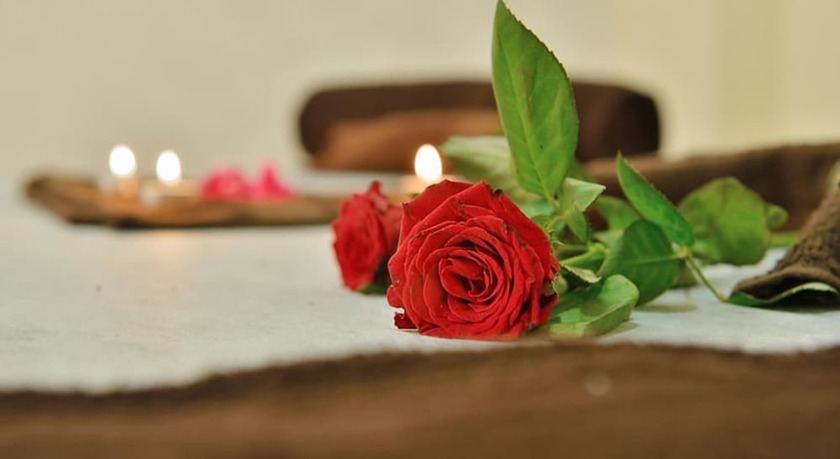 Imagen general del Hotel Palm Springs Stays. Foto 9