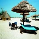 Imagen general del Hotel Palm Tree Club. Foto 1