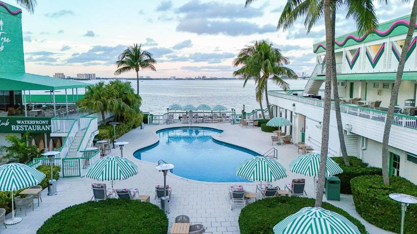 Imagen general del Hotel Palm Tree Club Miami. Foto 7