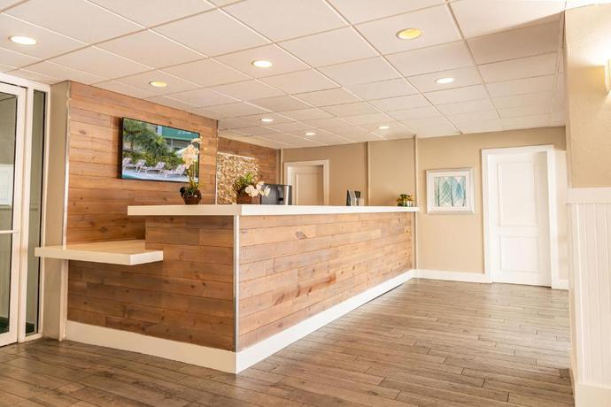 Imagen general del Hotel Palm Tree Club Miami. Foto 9