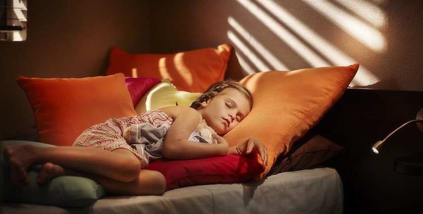 Imagen de los interiores del Hotel Palm and Spa. Foto 10