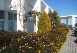 Imagen general del Hotel Palma Monforte. Foto 3