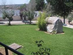 Imagen general del Hotel Palma Monforte. Foto 7