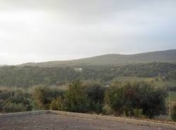 Imagen general del Hotel Palma Monforte. Foto 11