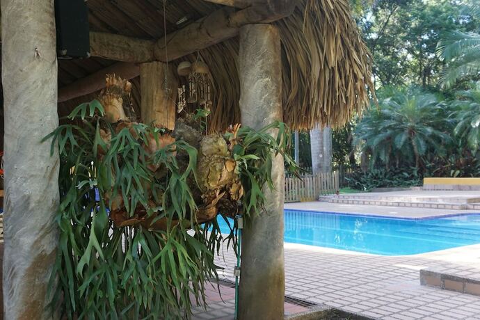 Imagen general del Hotel Palma Real Coliving. Foto 7