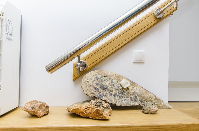 Imagen de los interiores del Hotel Palma Rooms B&B. Foto 20