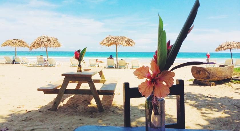 Imagen de los exteriores del Hotel Palmar Beach Lodge. Foto 12
