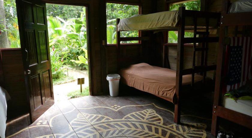 Imagen de la habitación del Hotel Palmar Beach Lodge. Foto 8