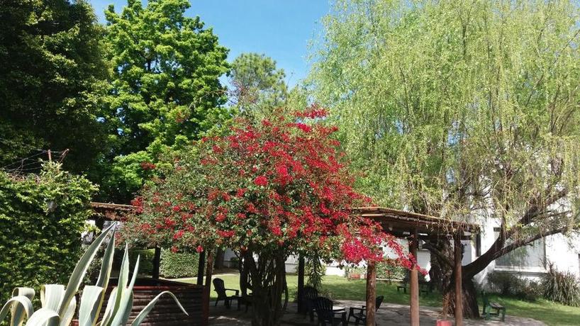 Imagen general del Hotel Palmar. Foto 3