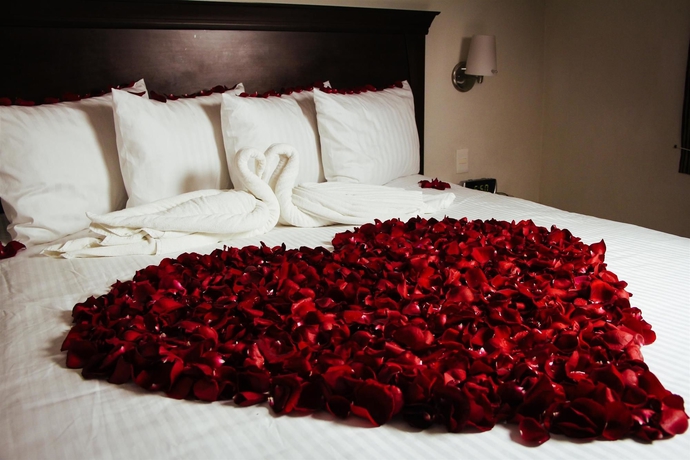 Imagen de la habitación del Hotel Palmareca Inn-suites-studios. Foto 6