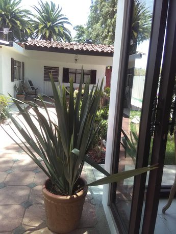 Imagen de los interiores del Hotel Palmas Teotihuacan. Foto 19