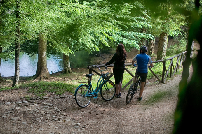 Imagen general del Hotel Palme Gemelle. Foto 2