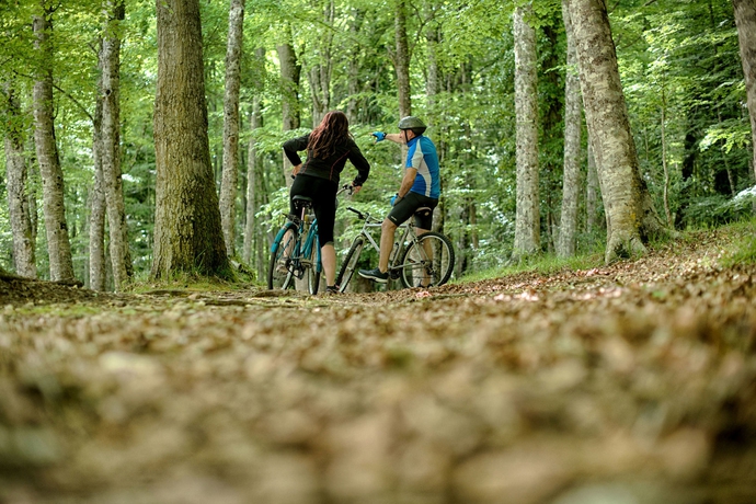 Imagen general del Hotel Palme Gemelle. Foto 4