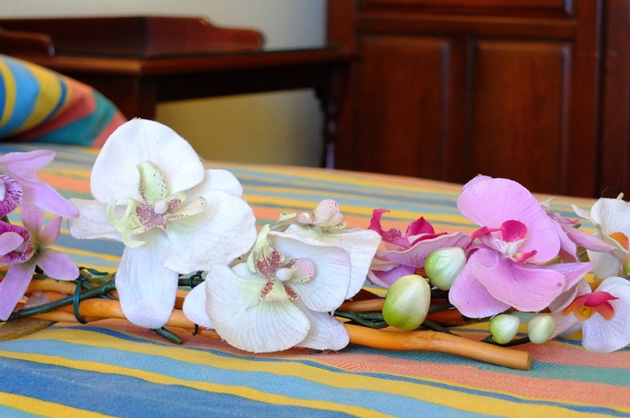 Imagen de la habitación del Hotel Palme Suite. Foto 6