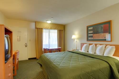 Imagen de la habitación del Hotel Palmeras Chula Vista. Foto 1