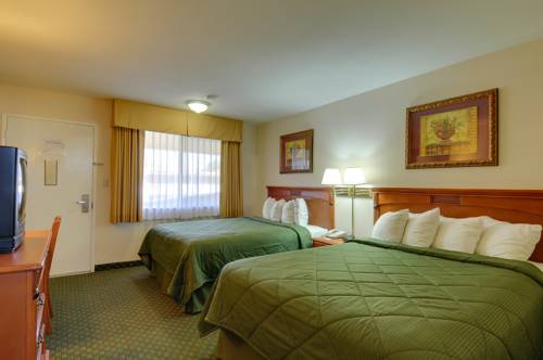 Imagen de la habitación del Hotel Palmeras Chula Vista. Foto 5