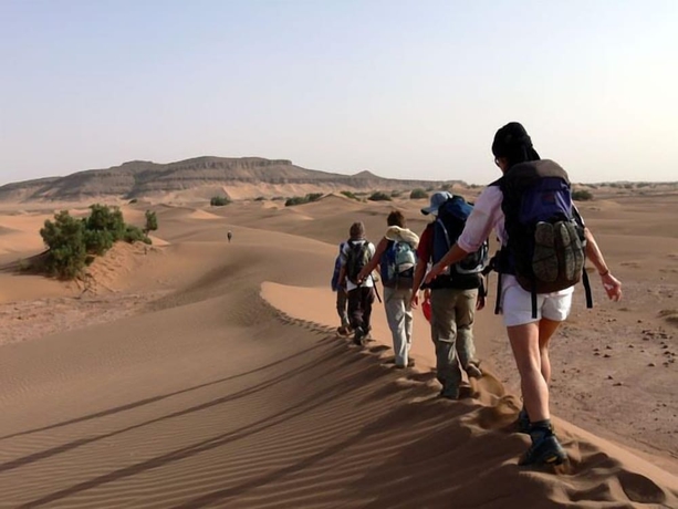 Imagen general del Hotel Palmeras Y Dunas. Foto 4