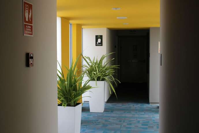 Imagen general del Hotel Palmetto Business San Borja. Foto 3