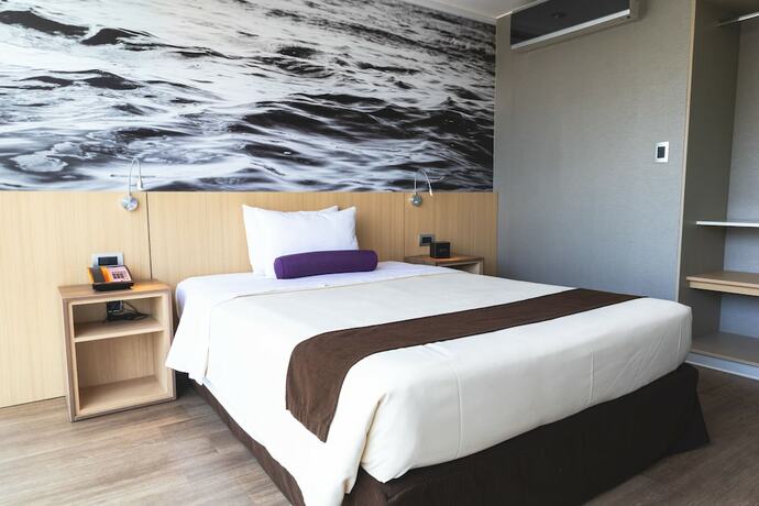 Imagen general del Hotel Palmetto Business San Borja. Foto 11