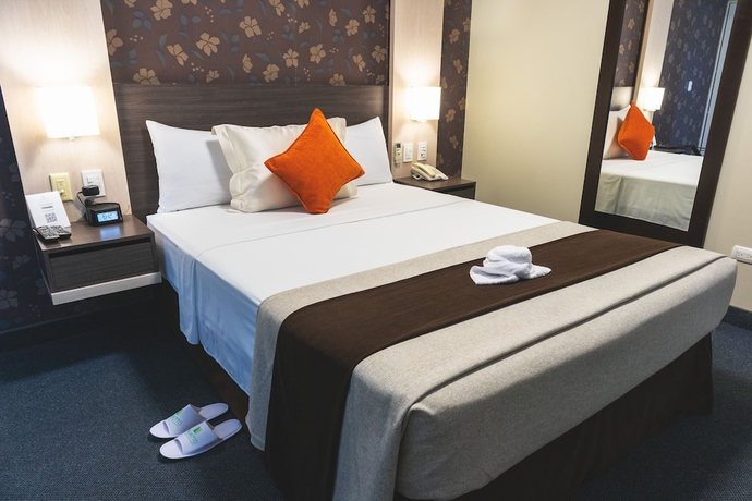 Imagen de la habitación del Hotel Palmetto Business San Miguel. Foto 4