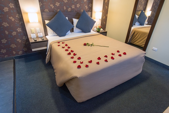 Imagen de la habitación del Hotel Palmetto Business San Miguel. Foto 5