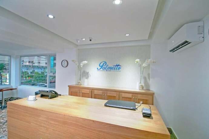 Imagen general del Hotel Palmetto. Foto 15