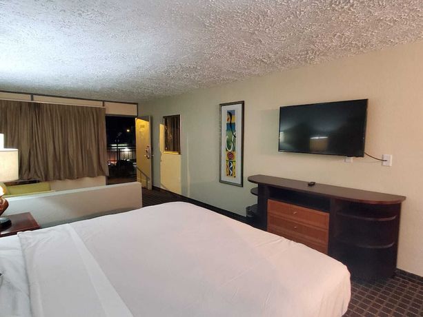 Imagen de la habitación del Hotel Palmetto Inn and Suites by OYO Orangeburg. Foto 2