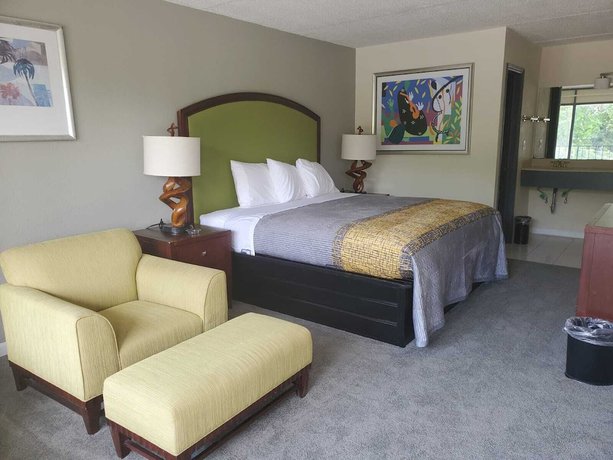 Imagen de la habitación del Hotel Palmetto Inn and Suites by OYO Orangeburg. Foto 3