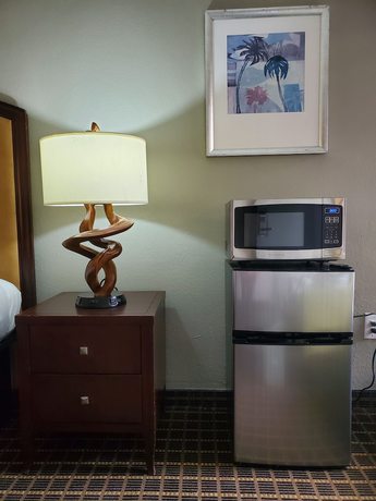 Imagen de la habitación del Hotel Palmetto Inn and Suites by OYO Orangeburg. Foto 7
