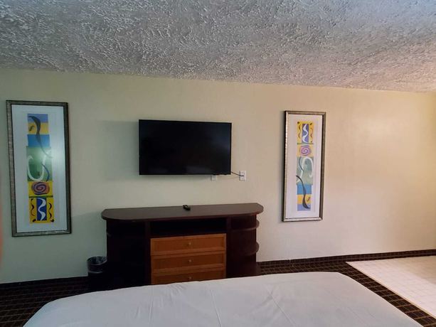 Imagen de la habitación del Hotel Palmetto Inn and Suites by OYO Orangeburg. Foto 8