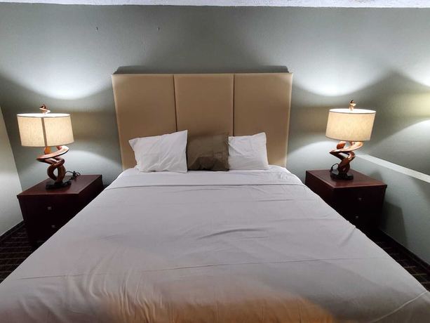 Imagen de la habitación del Hotel Palmetto Inn and Suites by OYO Orangeburg. Foto 9