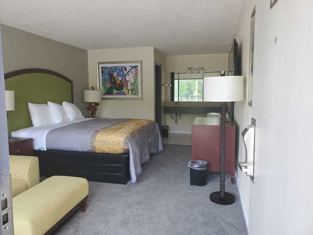 Imagen de la habitación del Hotel Palmetto Inn and Suites by OYO Orangeburg. Foto 11