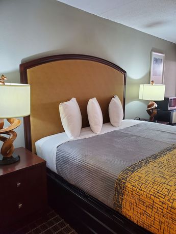 Imagen de la habitación del Hotel Palmetto Inn and Suites by OYO Orangeburg. Foto 13