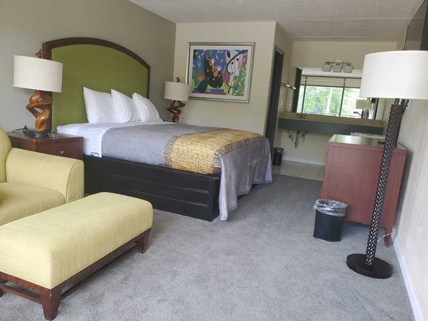 Imagen de la habitación del Hotel Palmetto Inn and Suites by OYO Orangeburg. Foto 16
