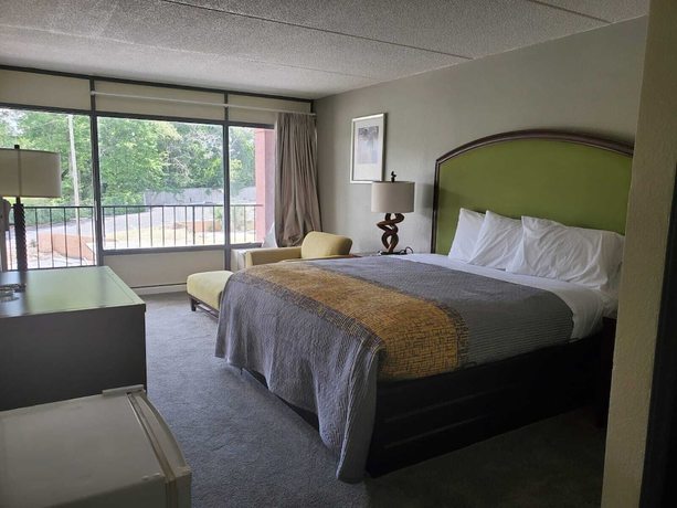 Imagen de la habitación del Hotel Palmetto Inn and Suites by OYO Orangeburg. Foto 17