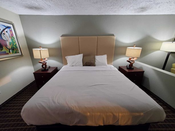 Imagen de la habitación del Hotel Palmetto Inn and Suites by OYO Orangeburg. Foto 19