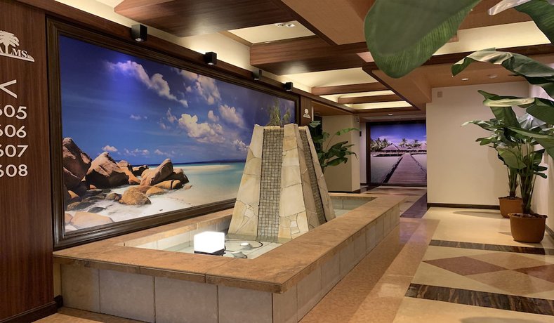Imagen de los interiores del Hotel Palms - Adults Only. Foto 15