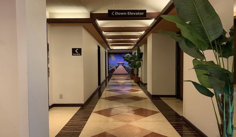 Imagen de los interiores del Hotel Palms - Adults Only. Foto 20
