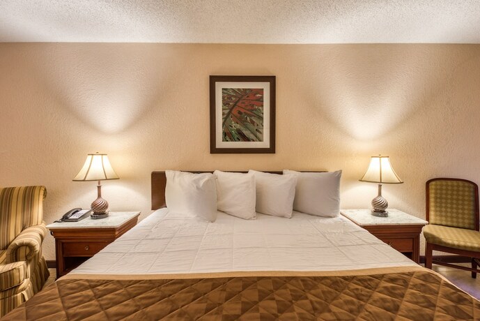 Imagen general del Hotel Palms Garden Inn. Foto 3