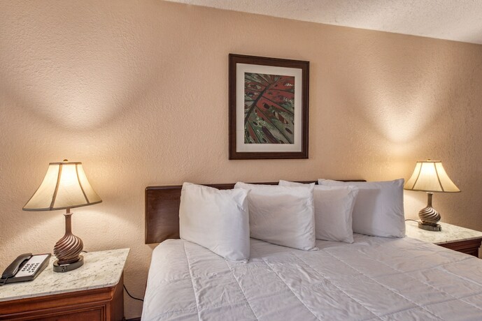 Imagen general del Hotel Palms Garden Inn. Foto 8