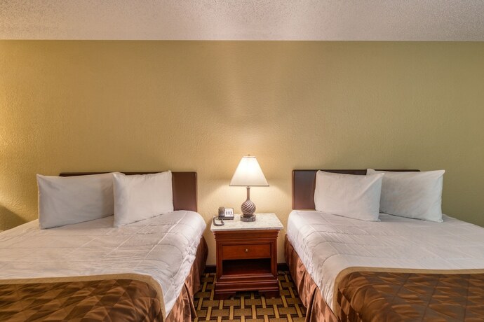 Imagen general del Hotel Palms Garden Inn. Foto 14