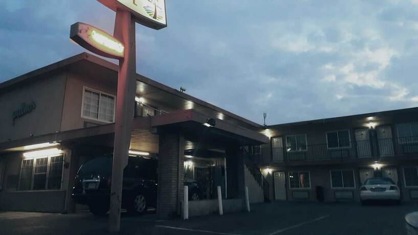 Imagen general del Hotel Palms Motel. Foto 3