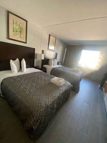 Imagen de la habitación del Hotel Palms by the Beach Motel. Foto 7