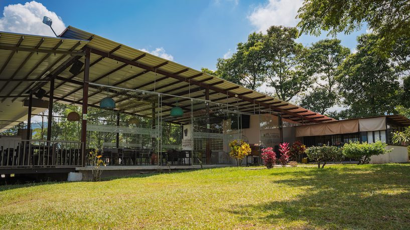 Imagen del bar/restaurante del Hotel Palo Grande CF Pereira. Foto 3