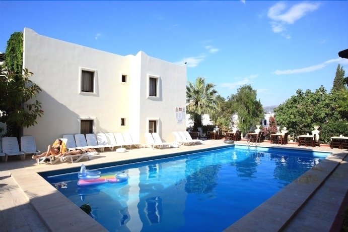 Imagen de la piscina del Hotel Paloma, Gumbet. Foto 18