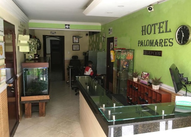 Imagen de los interiores del Hotel Palomares Del Sur. Foto 20