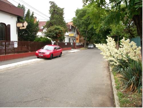 Imagen general del Hotel Palota. Foto 2