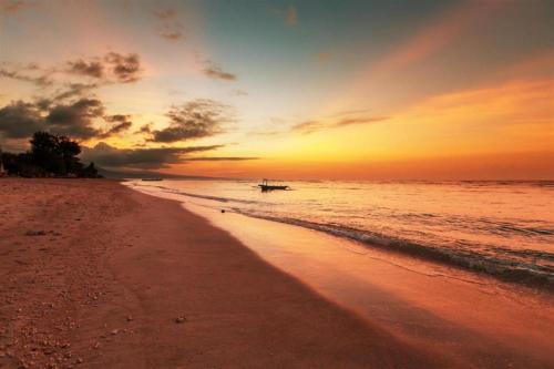 Imagen general del Hotel Palu Golden. Foto 9